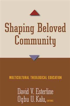 Shaping Beloved Community