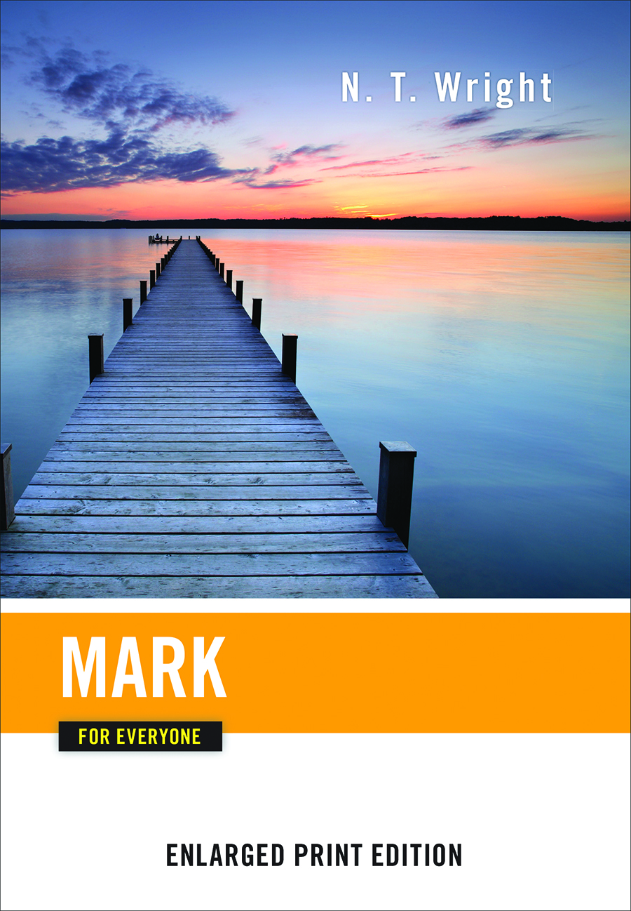 Mark for Everyone-Enlarged Print Edition
