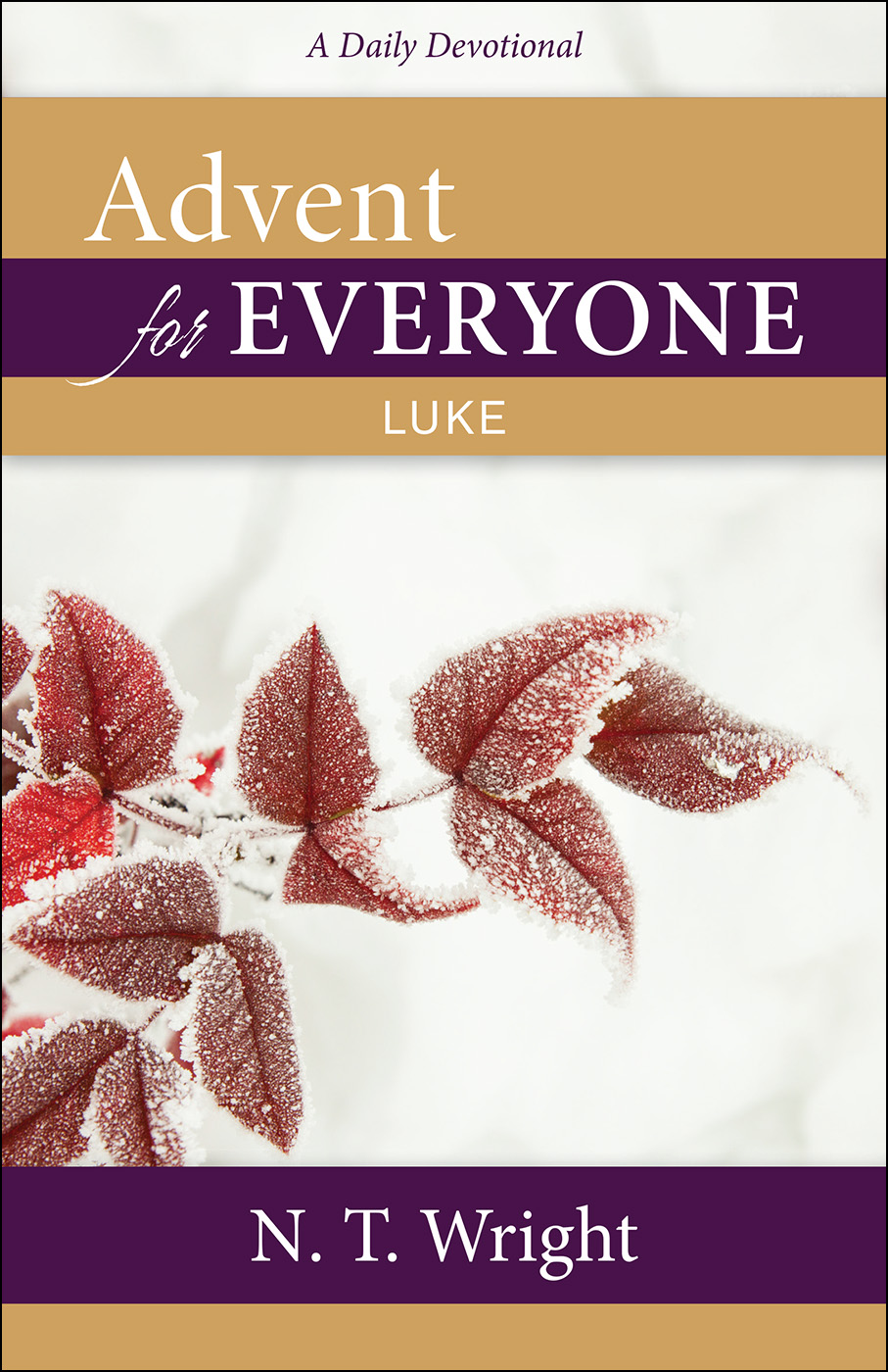Advent for Everyone: Luke