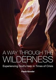 A Way Through the Wilderness: Experiencing God's Help in Times of Crisis